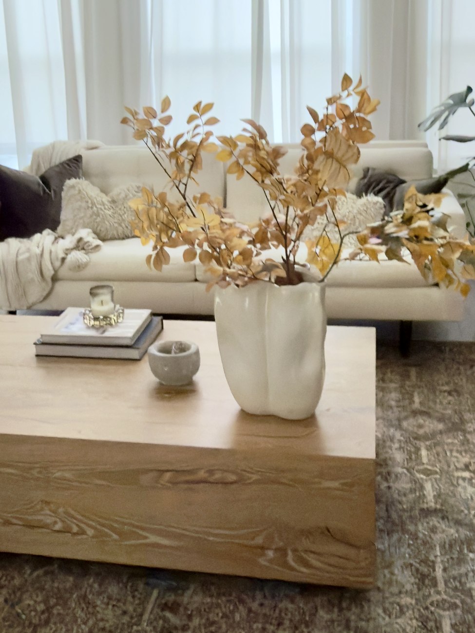 Jen's living room styled for fall